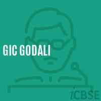 Gic Godali High School Logo