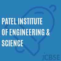 Patel Institute of Engineering & Science Logo