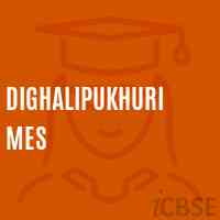 Dighalipukhuri Mes Middle School Logo