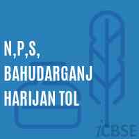 N,P,S, Bahudarganj Harijan Tol Primary School Logo