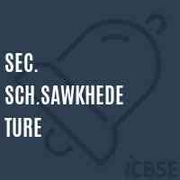 Sec. Sch.Sawkhede Ture High School Logo