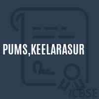 Pums,Keelarasur Middle School Logo