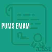 Pums Emam Middle School Logo