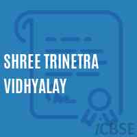 Shree Trinetra Vidhyalay Middle School Logo