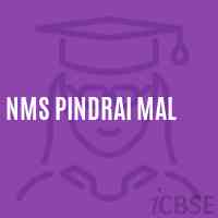 Nms Pindrai Mal Middle School Logo