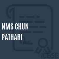 Nms Chun Pathari Middle School Logo