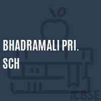 Bhadramali Pri. Sch Middle School Logo