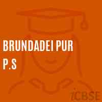 Brundadei Pur P.S Middle School Logo