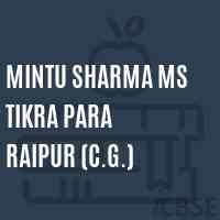 Mintu Sharma Ms Tikra Para Raipur (C.G.) Middle School Logo
