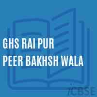 Ghs Rai Pur Peer Bakhsh Wala Secondary School Logo