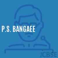 P.S. Bangaee Primary School Logo