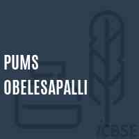 Pums Obelesapalli Middle School Logo