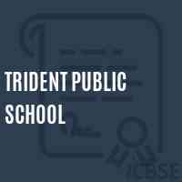 Trident Public School Logo