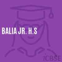 Balia Jr. H.S School Logo