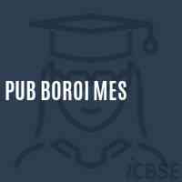 Pub Boroi Mes Middle School Logo