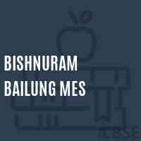 Bishnuram Bailung Mes Middle School Logo