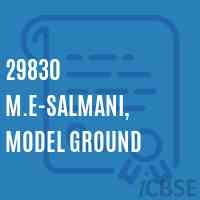 29830 M.E-Salmani, Model Ground Primary School Logo