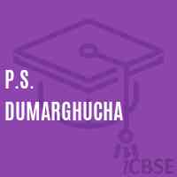 P.S. Dumarghucha Primary School Logo