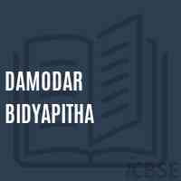 Damodar Bidyapitha School Logo