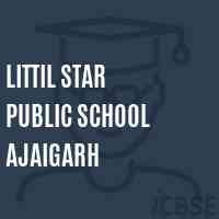 Littil Star Public School Ajaigarh Logo