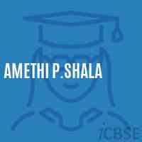 Amethi P.Shala Primary School Logo