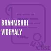 Brahmshri Vidhyaly Senior Secondary School Logo