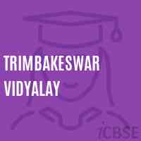 Trimbakeswar Vidyalay Middle School Logo