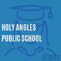 Holy Angles Public School Logo