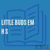 Little Buds Em H S Secondary School Logo