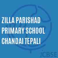 Zilla Parishad Primary School Chandai Tepali Logo