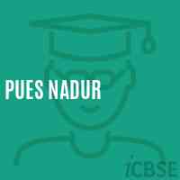 Pues Nadur Primary School Logo
