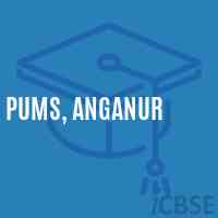 Pums, Anganur Middle School Logo