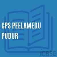Cps Peelamedu Pudur Primary School Logo