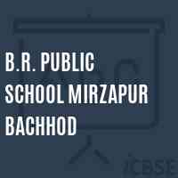 B.R. Public School Mirzapur Bachhod Logo