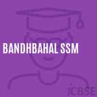 Bandhbahal Ssm Middle School Logo