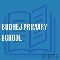 Budhej Primary School Logo
