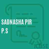 Sadnasha Pir P.S Primary School Logo
