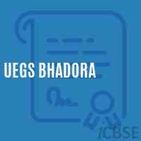 Uegs Bhadora Primary School Logo