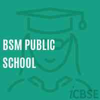 Bsm Public School Logo