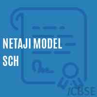 Netaji Model Sch Senior Secondary School Logo