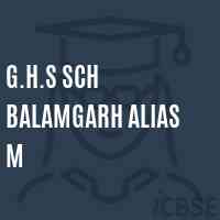 G.H.S Sch Balamgarh Alias M Secondary School Logo