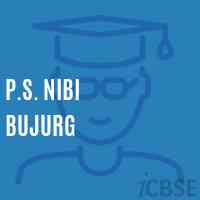 P.S. Nibi Bujurg Primary School Logo