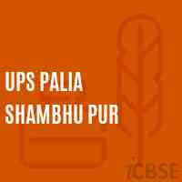 Ups Palia Shambhu Pur Middle School Logo