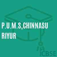 P.U.M.S,Chinnasuriyur Middle School Logo