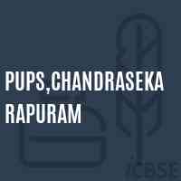 Pups,Chandrasekarapuram Primary School Logo