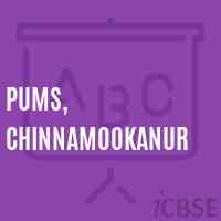 Pums, Chinnamookanur Middle School Logo
