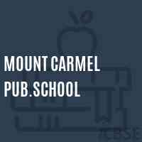 Mount Carmel Pub.School Logo