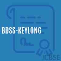 Bdss-Keylong High School Logo