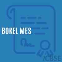 Bokel Mes Middle School Logo