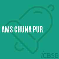 Ams Chuna Pur Middle School Logo